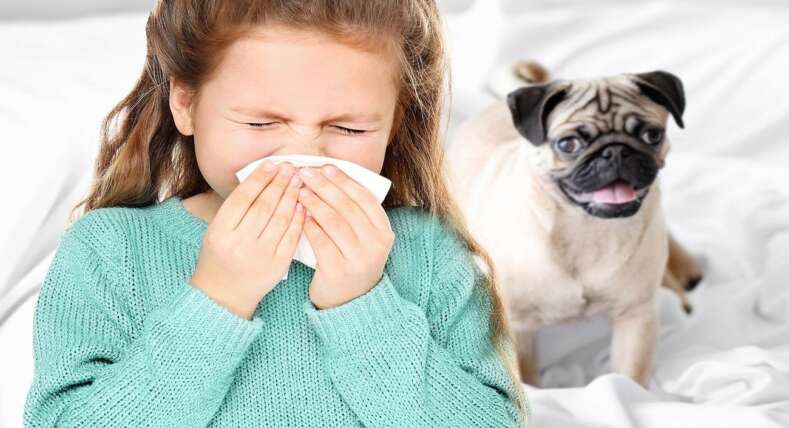 Симптомы аллергии на собаку у ребенка