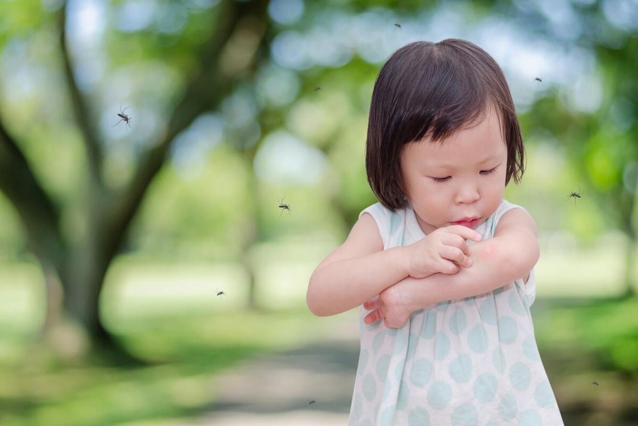 Аллергия на укусы комаров у детей